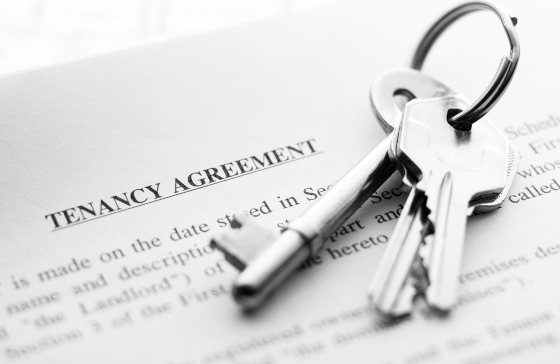 Image of a tenancy agreement supported by the Private Landlord Registration Rules in Scotland
